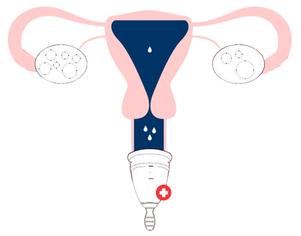 Menstruační kalíšek LUNACUP